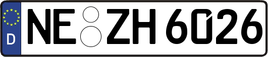 NE-ZH6026