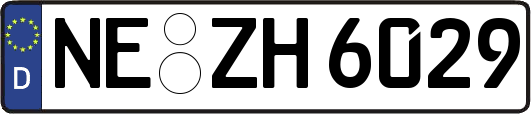 NE-ZH6029