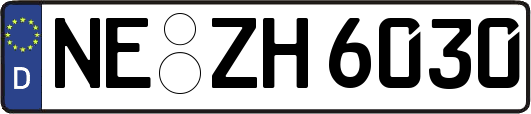 NE-ZH6030
