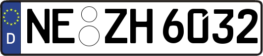 NE-ZH6032