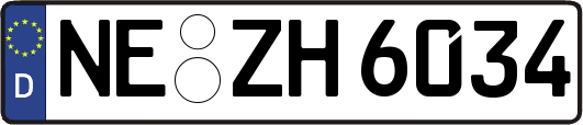 NE-ZH6034