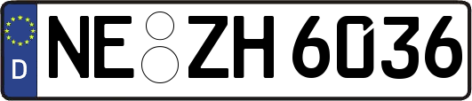 NE-ZH6036