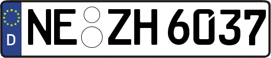 NE-ZH6037