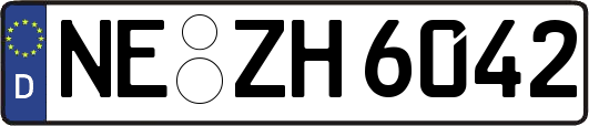 NE-ZH6042