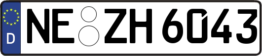 NE-ZH6043