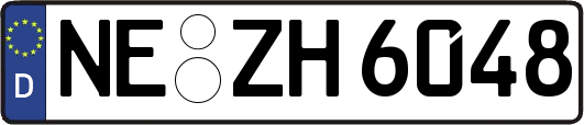NE-ZH6048