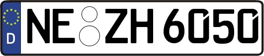 NE-ZH6050