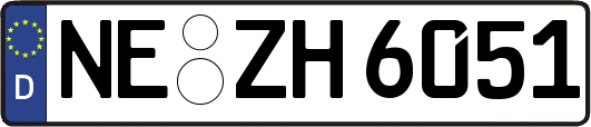 NE-ZH6051
