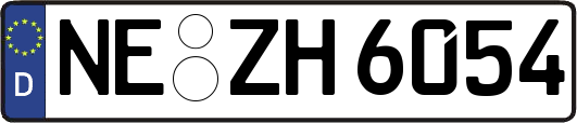 NE-ZH6054