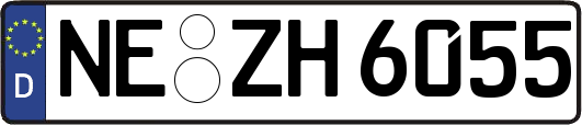 NE-ZH6055
