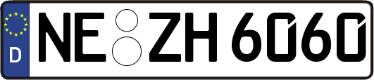 NE-ZH6060