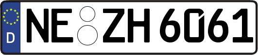 NE-ZH6061