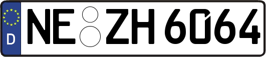 NE-ZH6064
