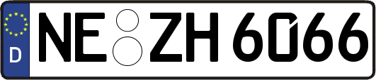 NE-ZH6066