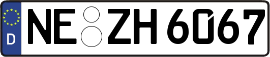 NE-ZH6067
