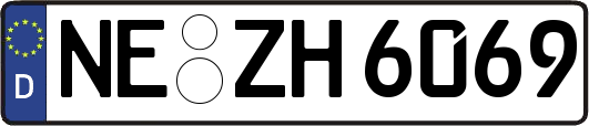 NE-ZH6069
