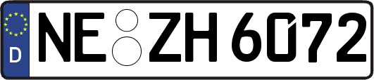 NE-ZH6072