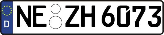 NE-ZH6073