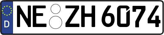 NE-ZH6074