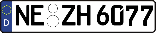 NE-ZH6077