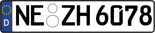 NE-ZH6078