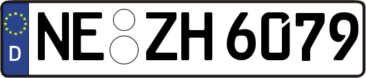 NE-ZH6079