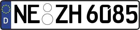 NE-ZH6085