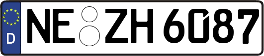 NE-ZH6087