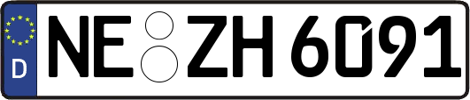 NE-ZH6091