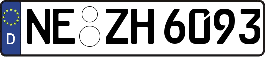 NE-ZH6093