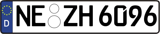 NE-ZH6096