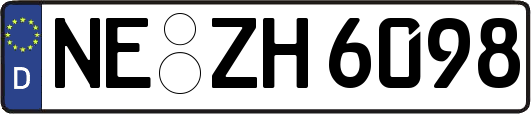 NE-ZH6098
