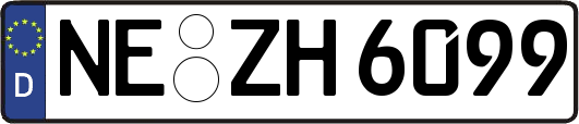 NE-ZH6099