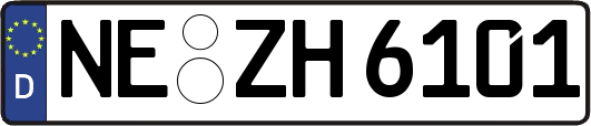 NE-ZH6101