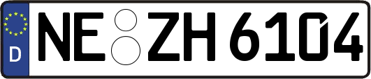 NE-ZH6104