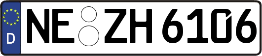 NE-ZH6106