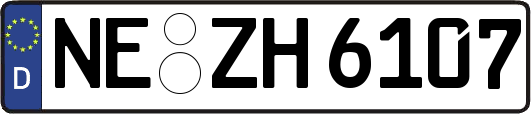 NE-ZH6107