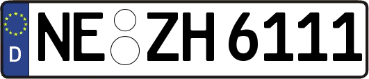 NE-ZH6111