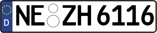 NE-ZH6116