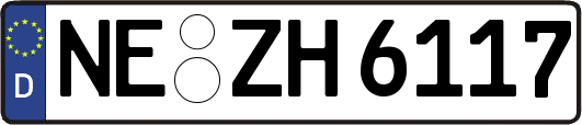 NE-ZH6117