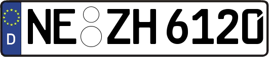 NE-ZH6120