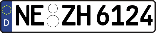 NE-ZH6124