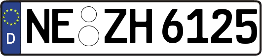 NE-ZH6125