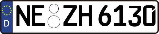 NE-ZH6130
