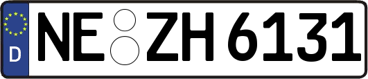 NE-ZH6131