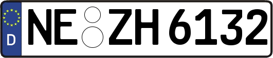 NE-ZH6132
