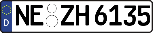NE-ZH6135