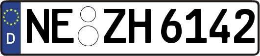 NE-ZH6142