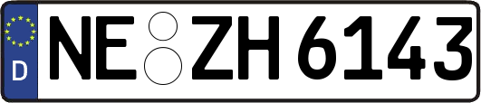 NE-ZH6143