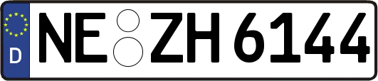 NE-ZH6144